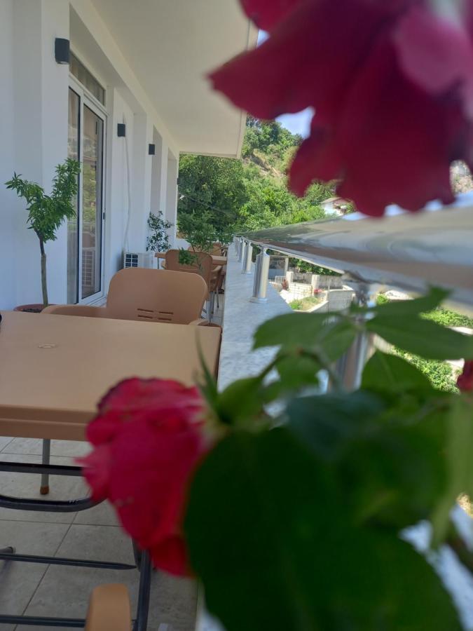 Vladimir Estate Hotel ジロカストラ エクステリア 写真